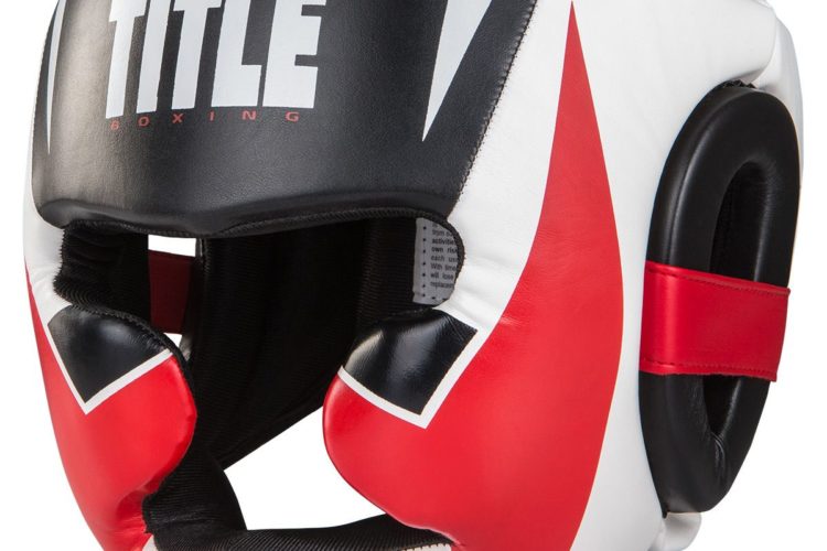 TITLE MMA Command Full Training Headgear