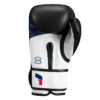 Fighting Ferocity Leather Training Gloves - Image 4