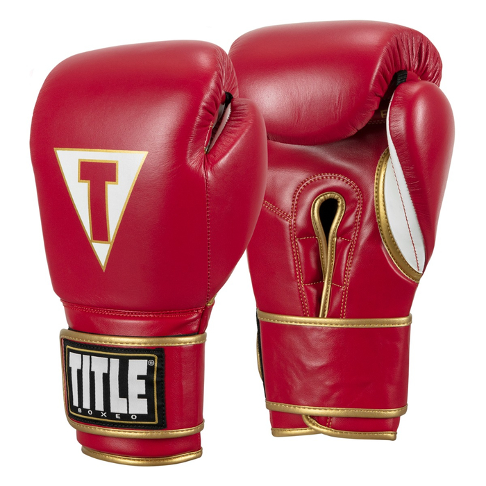 TITLE Boxeo Mexican Leather Training Gloves Quatro